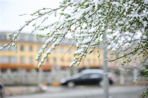 四川紅原大草原迎來(lái)初夏大雪