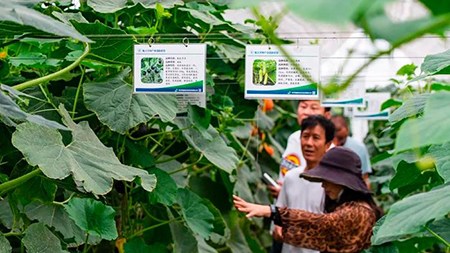 空間站與“卡脖子”，中國在警醒中爭取“逆襲